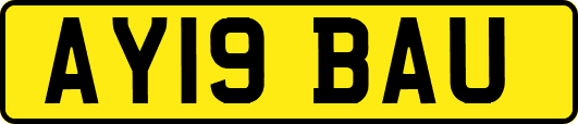 AY19BAU