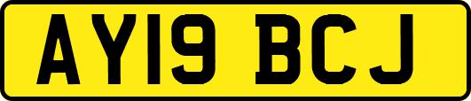 AY19BCJ
