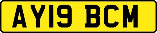 AY19BCM