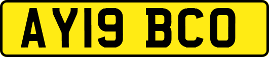 AY19BCO