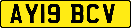 AY19BCV