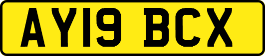 AY19BCX