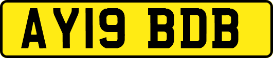 AY19BDB