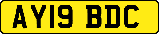 AY19BDC