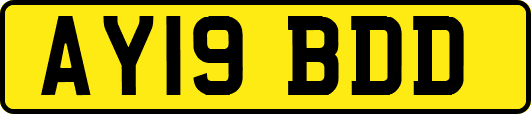 AY19BDD