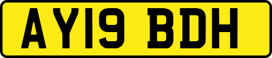 AY19BDH