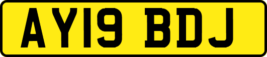 AY19BDJ