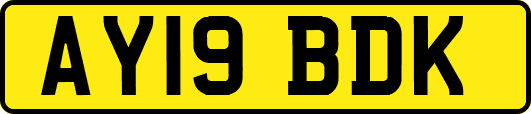 AY19BDK