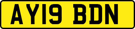 AY19BDN