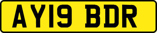 AY19BDR