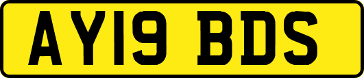 AY19BDS