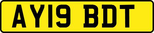 AY19BDT