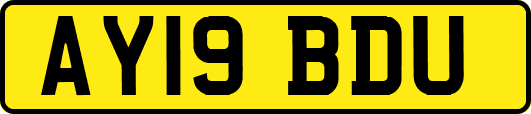 AY19BDU