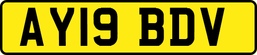 AY19BDV