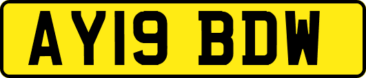 AY19BDW