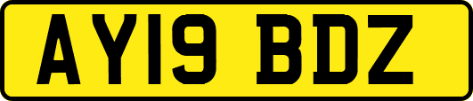 AY19BDZ