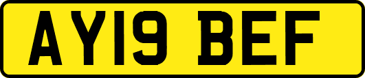 AY19BEF