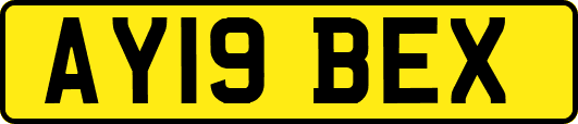 AY19BEX