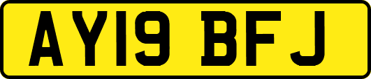 AY19BFJ