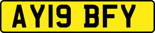 AY19BFY
