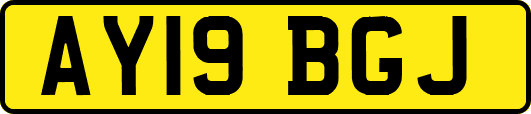 AY19BGJ