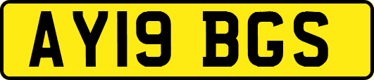 AY19BGS