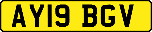 AY19BGV