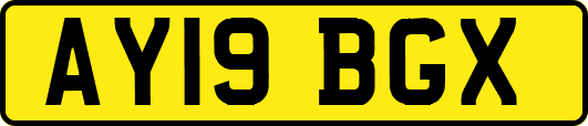 AY19BGX