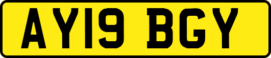 AY19BGY
