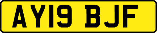 AY19BJF