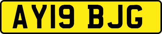 AY19BJG
