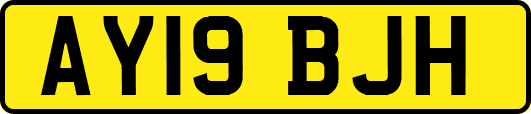 AY19BJH