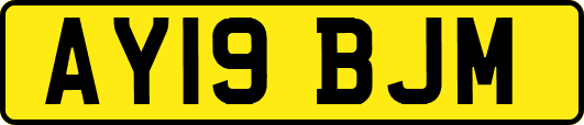 AY19BJM