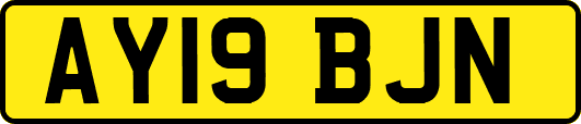 AY19BJN