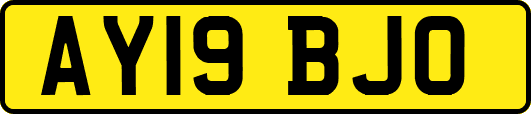 AY19BJO