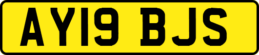 AY19BJS