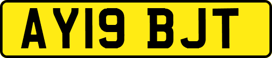 AY19BJT