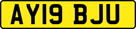 AY19BJU