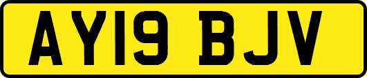 AY19BJV