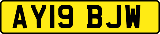 AY19BJW