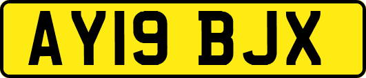 AY19BJX