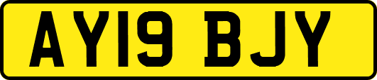 AY19BJY