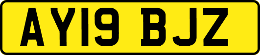 AY19BJZ