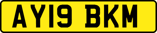 AY19BKM