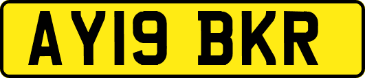 AY19BKR