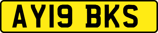 AY19BKS