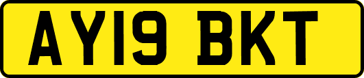 AY19BKT