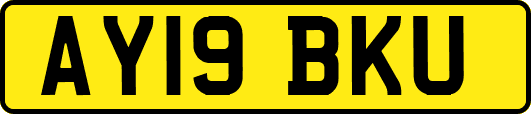 AY19BKU