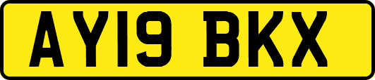 AY19BKX