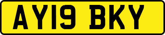 AY19BKY